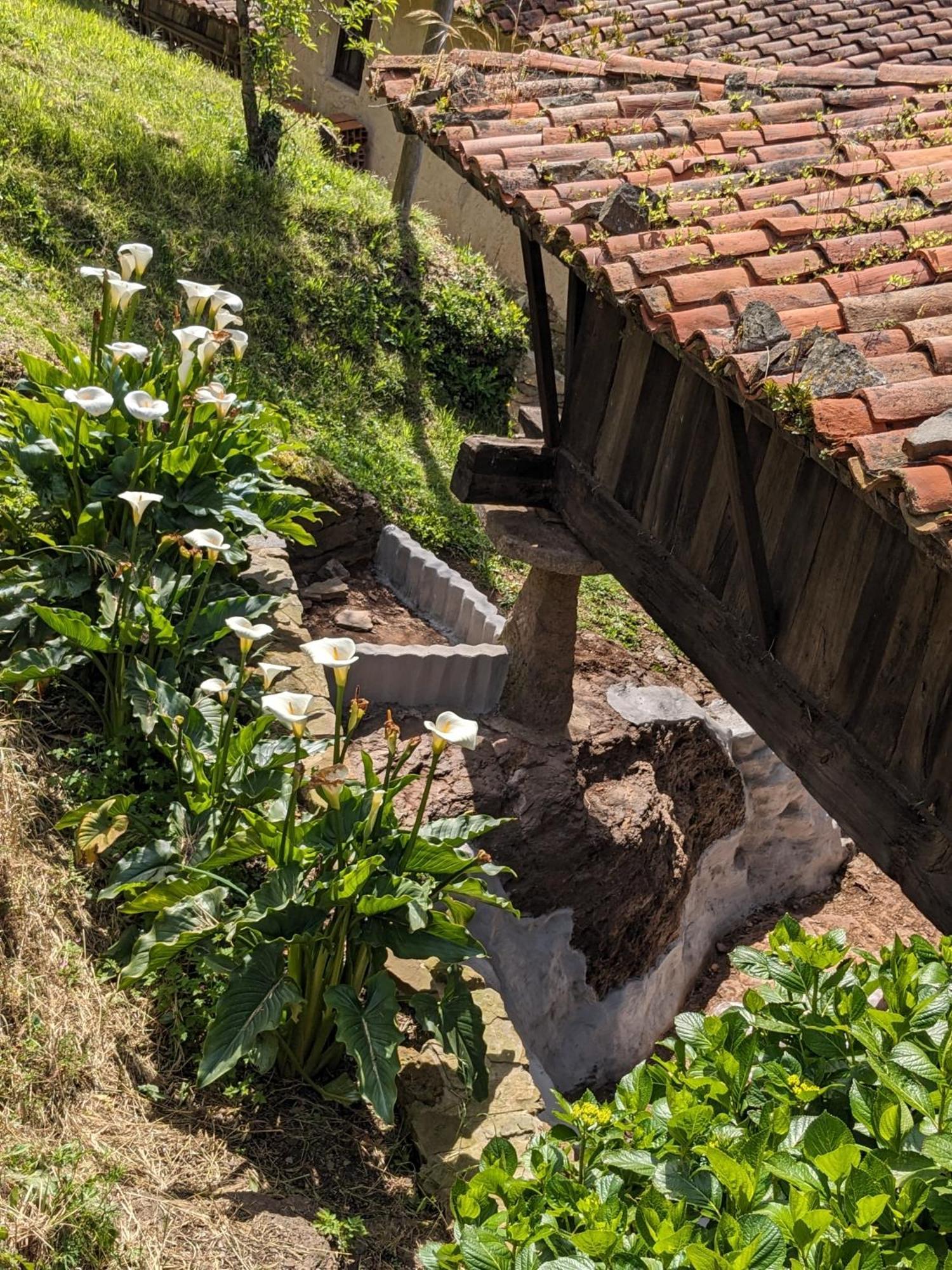 Las Casas de Isu Villaviciosa  Luaran gambar